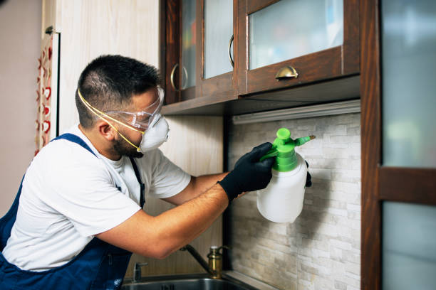 Best Pest Removal Services  in Brooklyn Park, MD