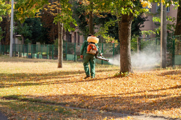 Best Affordable Pest Control Services  in Brooklyn Park, MD