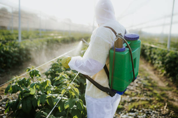 Best Pest Inspection Near Me  in Brooklyn Park, MD